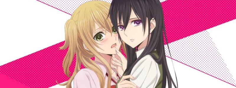 citrus1000400 citrus1000400