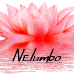 Logo Nelumbo 3000
