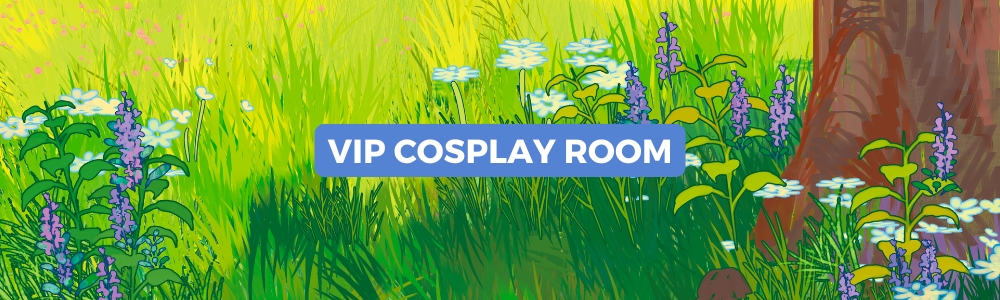 VIP Cosplay room