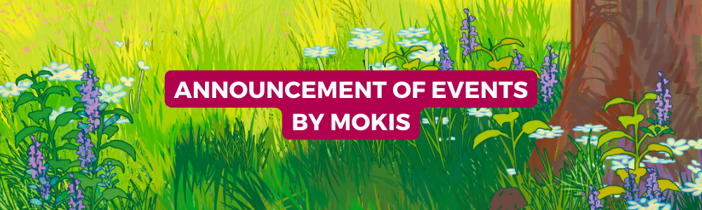 Discover the activities on the agenda at Mokis!