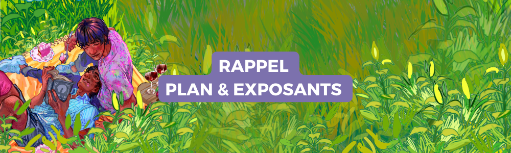 Rappel du plan et des exposants