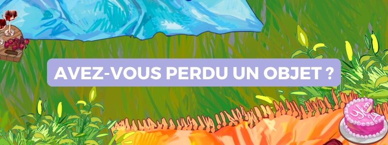 Avez-vous perdu un objet ?