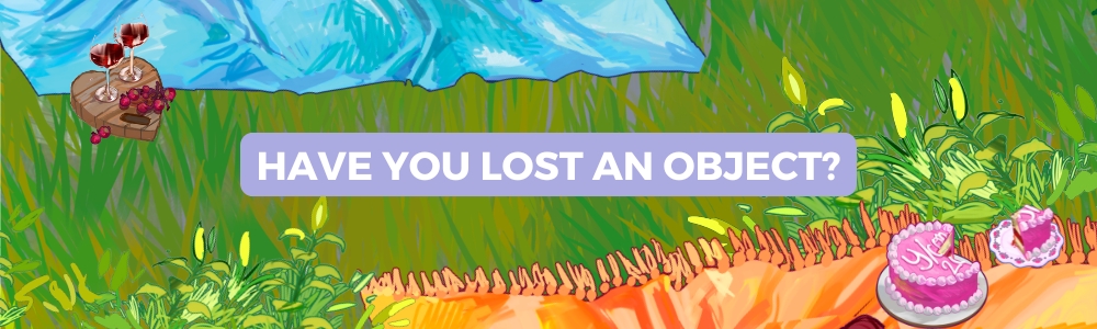 Have you lost something?