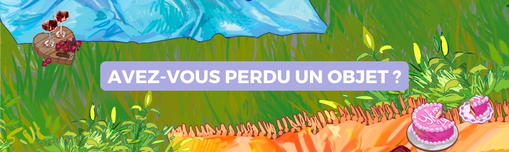 Avez-vous perdu un objet ?