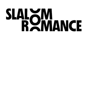 slalom roman noir (2)